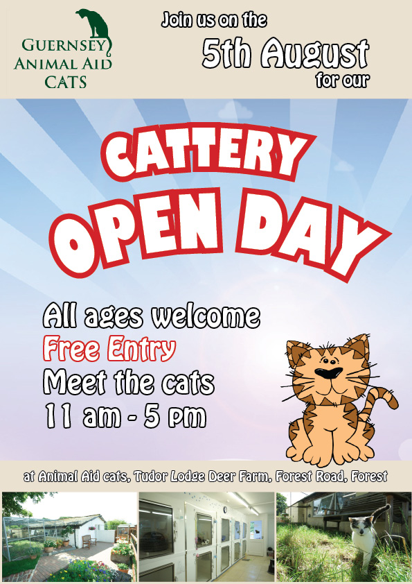 Open day poster